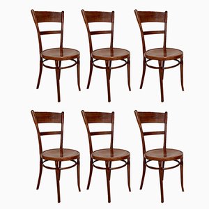 Art Nouveau Coffee House Chairs in Bentwood, 1930s, Set of 6