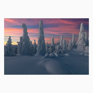 Roberto Moiola / Sysaworld, Sunset Over Frozen Trees of Snowy Forest, Lapland, Photographic Paper