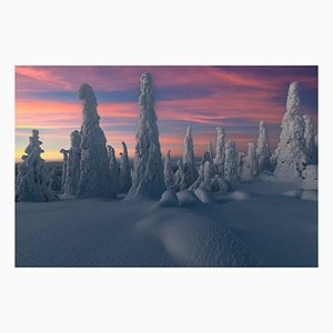 Roberto Moiola / Sysaworld, Sunset Over Frozen Trees of Snowy Forest, Laponia, Papel fotográfico