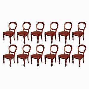 Antique Leather & Mahogany Dining Chairs, Late 1800s, Set of 12
