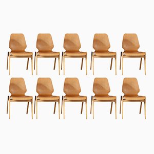 Scandinavian Beech Chairs, Set of 10