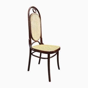 Bugholz Stuhl N°17 von Thonet, 1960er