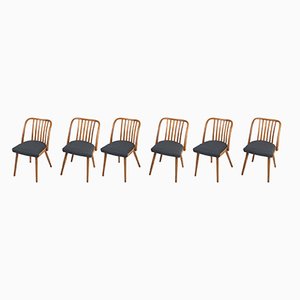 Chairs by Antonin Suman for Jitona, 1960s, Set of 6