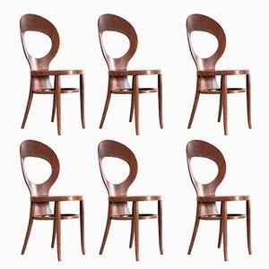 French Baumann Bentwood Dark Moutte Dining Chairs, 1960s, Set of 6