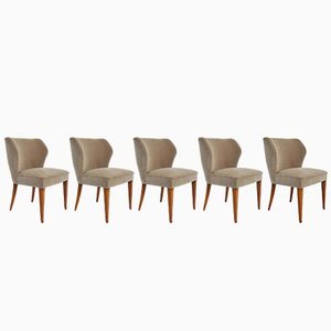 Stühle aus Hellem Taubengrauem Samt von Osvaldo Borsani für Atelier Borsani Varedo, Italien, 1950er, 5 . Set