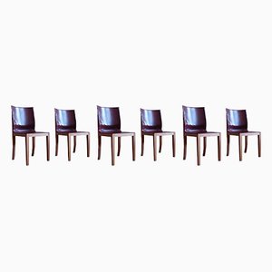 Bittersüß Dining Chairs by Matteo Grassi, Set of 6