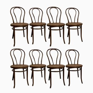 Austrian Chairs by Michael Thonet, 1890s, Set of 8