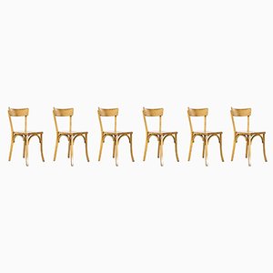 French Blonde Slim Back Bentwood Dining Chairs from Baumann, 1950s, Set of 6