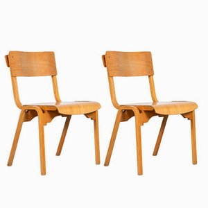 School Chairs by Stafford for Tecta UK, 1970, Set of 2