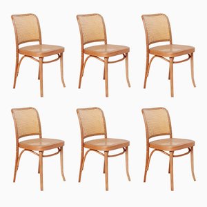 Dining Chairs Model No. 811 attributed to Josef Hoffmann, Set of 6