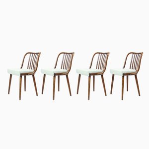 Dining Chairs in Bent Dark Oak from Jitona, Former Czechoslovakia, 1960s, Set of 4
