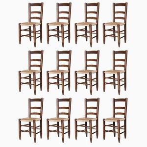 Mountain Chairs by Georges Robert, France, 1960s, Set of 12