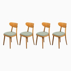 Mid-Century Modern Dining Chairs in Beech Wood with Light Green Fabric, 1950s, Set of 4
