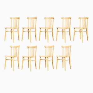 Blonde Bentwood Dining Chairs from TON, 1960s, Set of 9