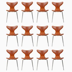 Lily Chairs attributed to Arne Jacobsen for Fritz Hansen, 1990, Set of 12