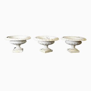 Medici Cups in Cast Iron, 19th Century, Set of 3