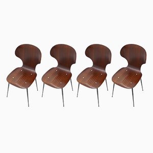 Chaises Lulli par Carlo Rati pour Industria Legni Curvati, 1950s, Set de 4