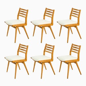 Chaises de Salle à Manger, 1950s, Set de 6