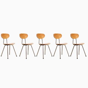 German Café Dining Chairs Brown Frame, 1960s, Set of 5
