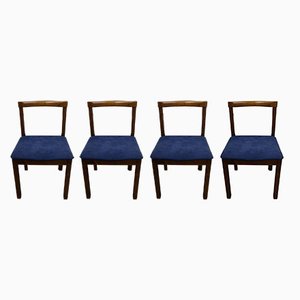 Chairs by Claudio Salocchi for Sormani, Set of 4