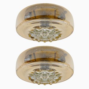 Amber Gold Wall Lamps / Flush Mounts, 1960s, Set of 2