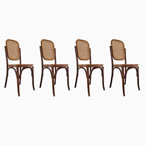 Dining Chairs in Rattan and Bentwood attributed to Mundus, Former Yugoslavia, 1970s, Set of 4