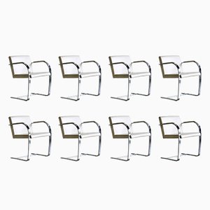 Brno Armchairs attributed to Mies van der Rohe for Knoll, USA, 1980s, Set of 8