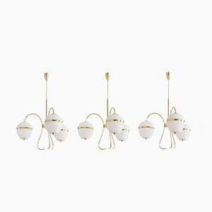 Triple China 02 Chandelier by Magic Circus Editions, Set of 3