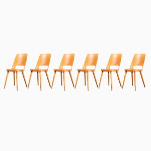 French Honey Dining Chair in Beech and Bentwood by Joamin Baumann, 2010s, Set of 6