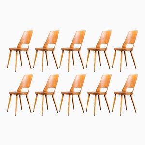 French Mondor Dining Chair in Honey Beech and Bentwood from Baumann, 1960s, Set of 10