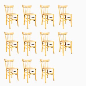 Vintage Bleached Bentwood Tri Back Dining Chairs, 1950s, Set of 11