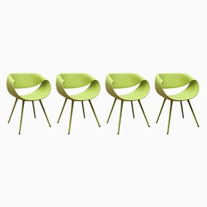 Little Perillo Chairs by Zuco, Set of 4