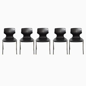 Stacking Chairs by Elmar Flötotto, 1970s, Set of 5