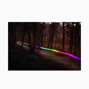 Artur Debat, Trail Following Footpath at Dusk Between the Mediterranean Forest, Photograph