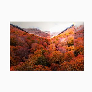 Artur Debat, großer Spiegel reflektierende Berge mit Herbstfarben, Fotografie