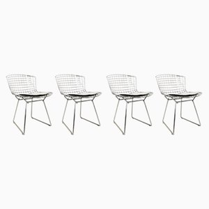 Leather and Chrome Chairs by Harry Bertoia for Knoll, Set of 4