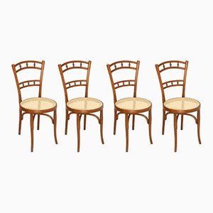 Dining Chairs from Gebrüder Thonet Vienna GMBH, Austria, 1900s, Set of 4
