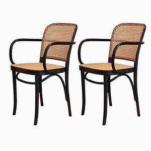 No. 811 Prague Chairs by Josef Hoffmann for FMG, 1960s, Set of 2