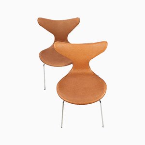 Set of Lily Swivel Chairs by Arne Jacobsen for Fritz Hansen, 1960s