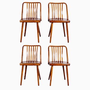 Dining Chairs by Antonín Šuman for Ton, Set of 4