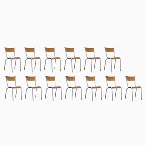 French Grey Leg School Dining Chairs from Mullca, 1950s, Set of 13