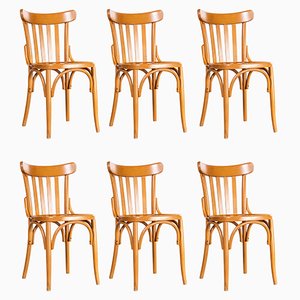 Bentwood Honey Beech Striped Seat Bentwood Dining Chairs, 1970s, Set of 6