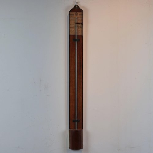 Mercury Barometer, Mid 19th Century for sale at Pamono