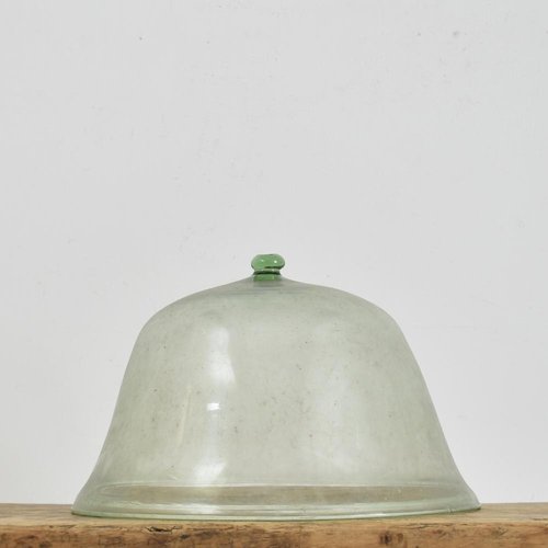 Cloche Dôme Antique en Verre, France en vente sur Pamono