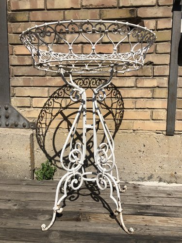 German Plant Stand in Iron, 1900 for sale at Pamono