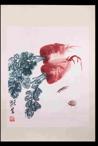 Impresión de fototipo de vegetales y insectos, mediados del siglo XX en