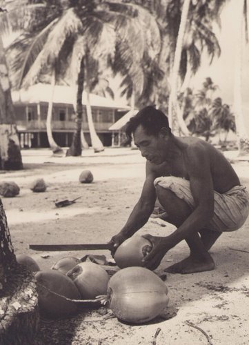Hanna Seidel, Panama Mann mit Kokosnuss, Schwarzweiß Fotografie, 1960er ...