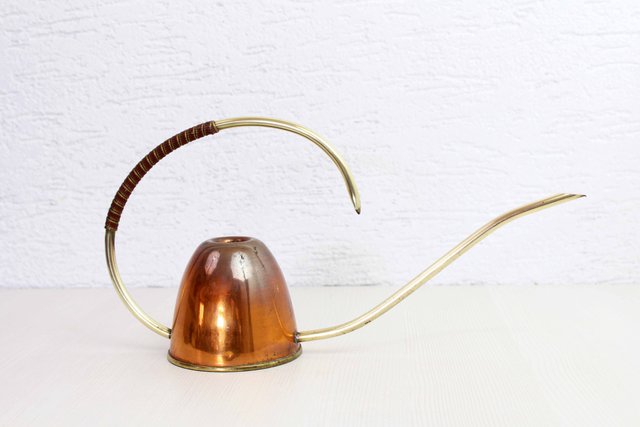 Lazmin112 Retro Gießkanne Aus Edelstahl & Messing – Mit Langem Auslauf, Für Zimmerpflanzen