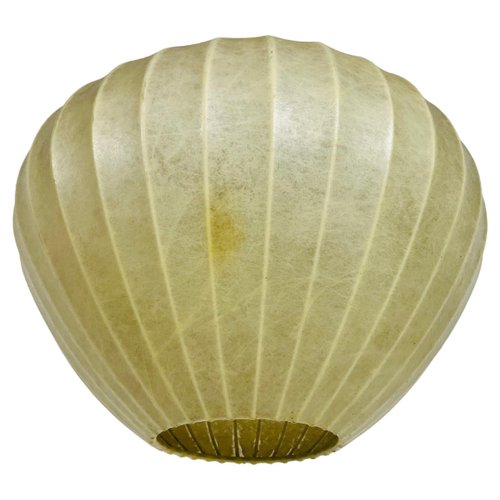 mid-century-modern-cocoon-