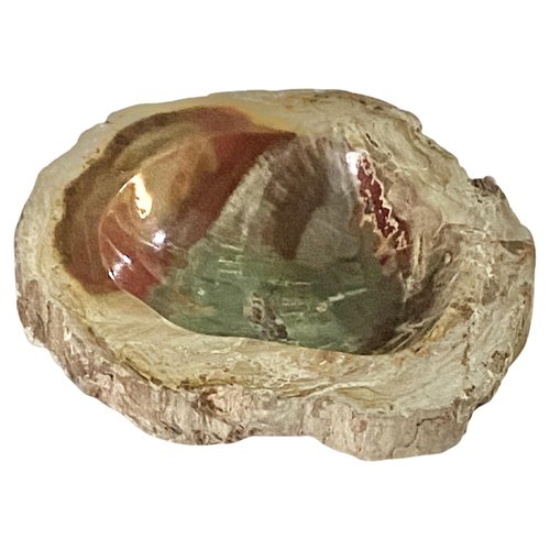 Vintage ＊ petrified wood tray Petrified Wood Tray | West Elm